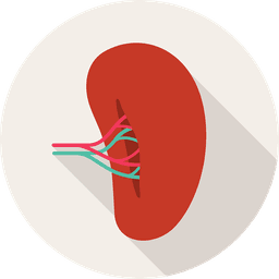 Aumento do baço (esplenomegalia)